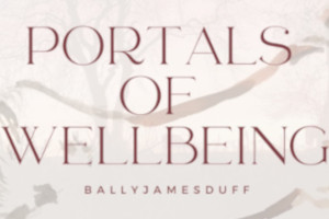 Portals of Wellbeing - Ballyjamesduff