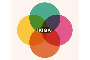 Ikiagi Workshop