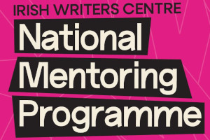 National Mentoring Programme 2026